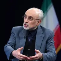 چرا رئیس سابق سازمان انرژی اتمی ایران وارد عرصه سیاست شد؟