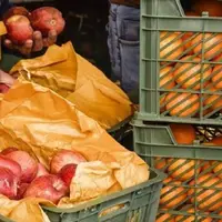 عرضه میوه تنظیم بازاری شب عید حدود ۱۵ درصد زیر قیمت بازار