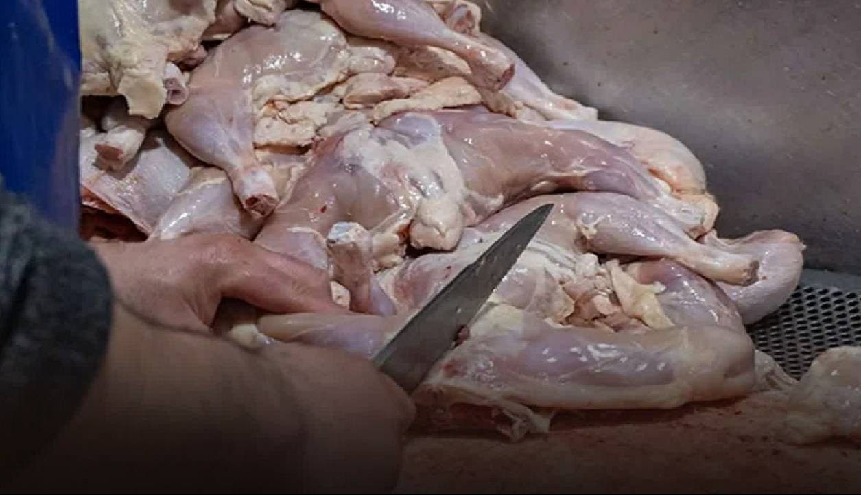 کشف ۱۰۰ کیلوگرم مرغ قطعه‌بندی شده غیرمجاز در قزوین