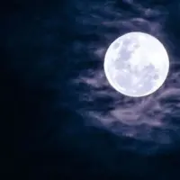  کاوشگر آمریکا روی کره ماه چپ کرد!