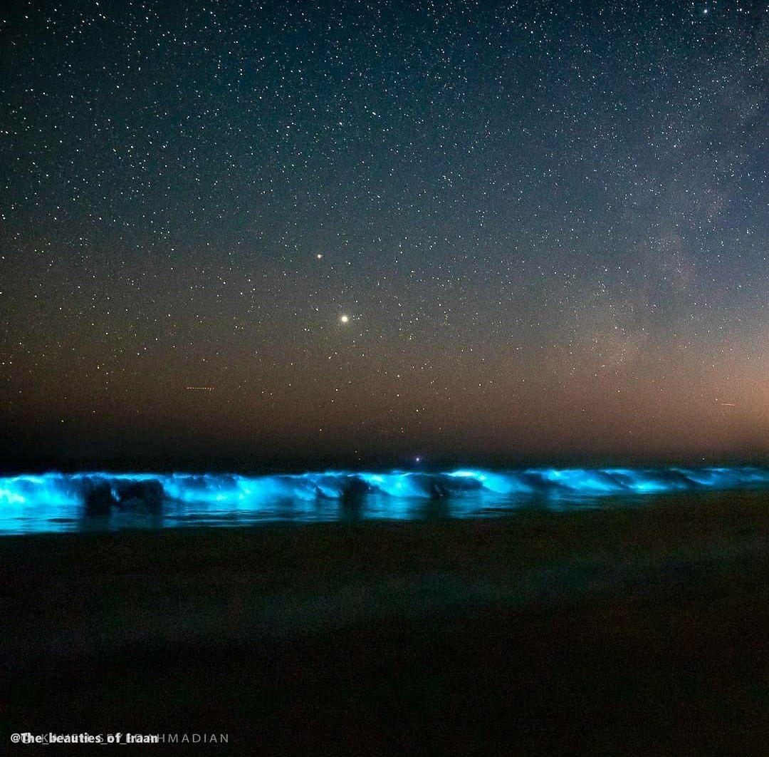 روشنایی امواج در شب با فیتو پلانکتون‌ها چابهار