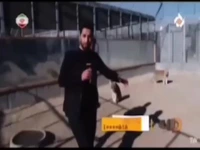 حمله ببر به عوامل برنامه تلویزیونی «در استان»