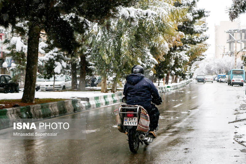 عکس/ بارش برف در ساوه