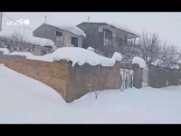 بارش یک متری برف در یکی از روستاهای تاکستان