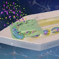 ساخت دستگاه نانودیالیز برای رصد کوچکترین تغییرات در بدن