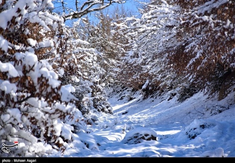 طبیعت زمستانی استان گلستان