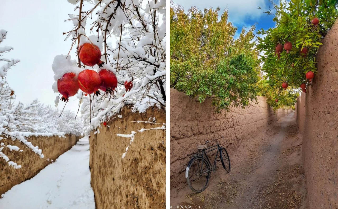 کوچه‌باغ‌های نجف‌آبادِ اصفهان در دو فصل مختلف