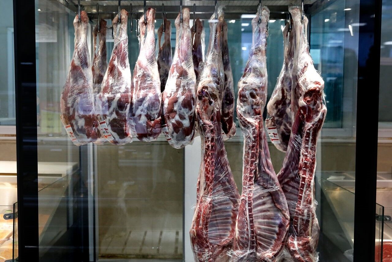 ادامه توزیع گوشت گرم وارداتی در روزبازارهای کرج
