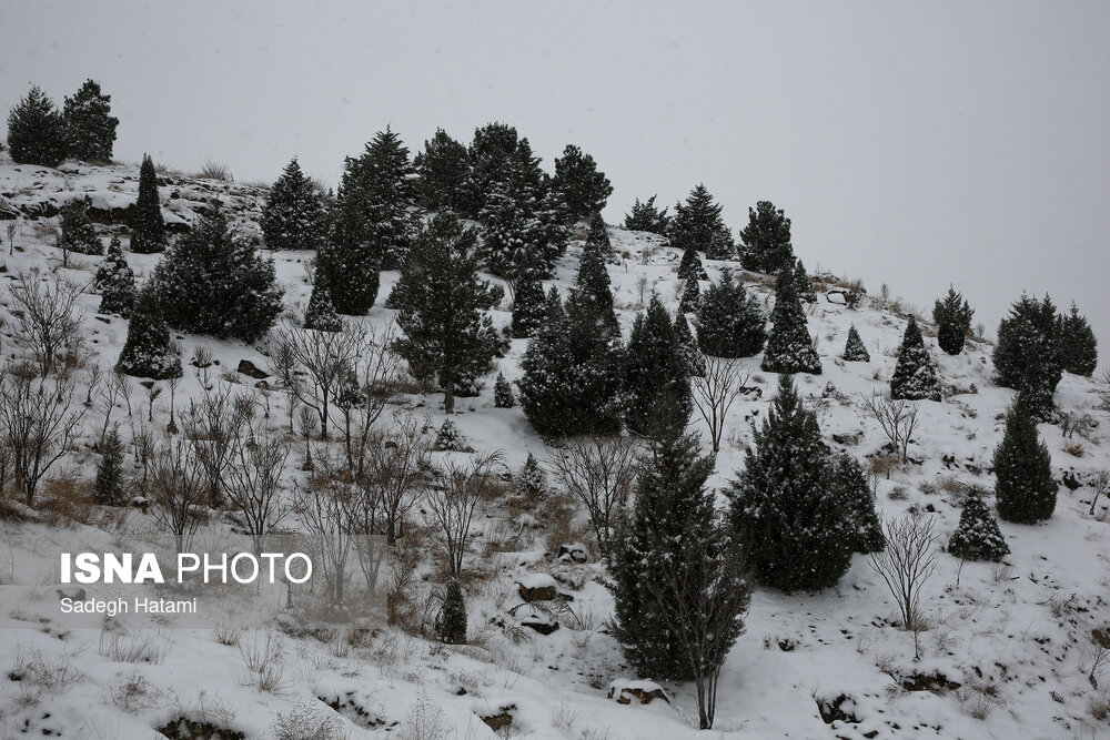 بارش برف در ارتفاعات مشهد