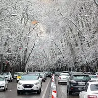ارتفاع برف در شمال تهران به یک متر رسید