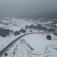 بارش کم‌سابقه برف در الجزایر
