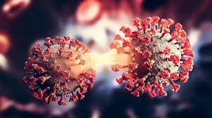 اولین بانک «بافت جهان» معمای طولانی کووید – ۱۹ را حل می‌کند؟