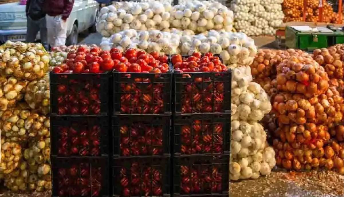 وزیر جهاد: روزانه 10 هزار تن گوجه فرنگی و پیاز از کشور صادر می‌شود