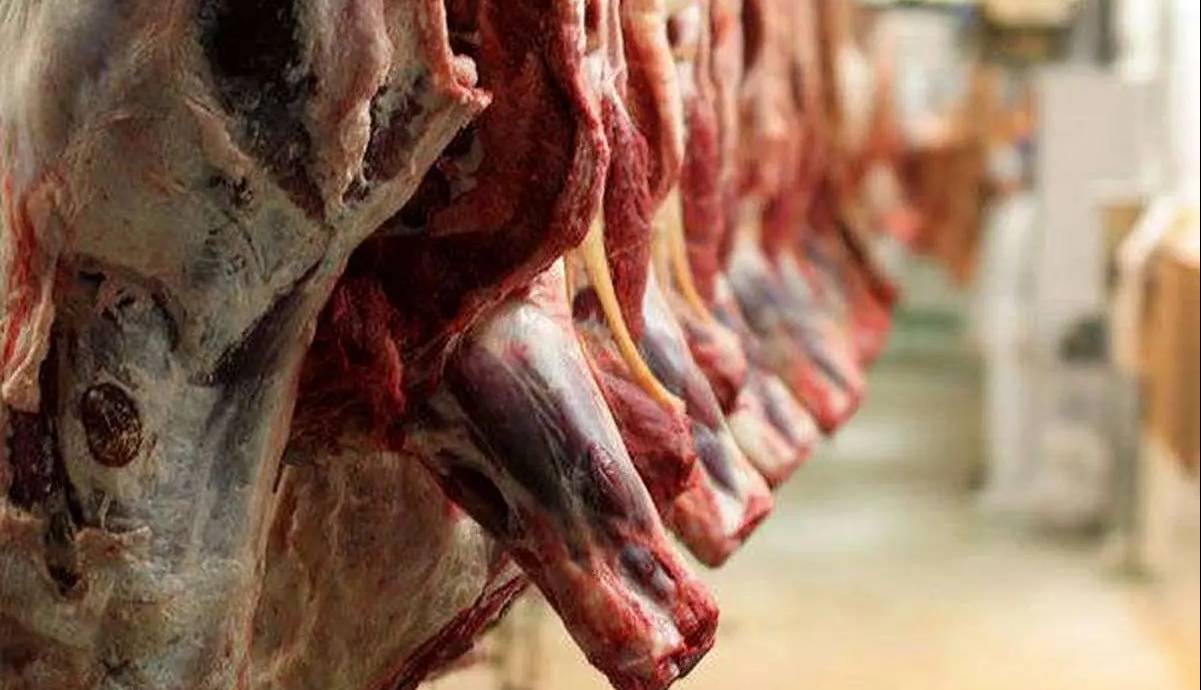 مردم منتظر گوشت یک میلیون تومانی باشند؟