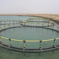 افزایش ظرفیت تولید ماهی در قفس استان بوشهر به ۱۱ هزار تن