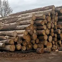 تشکیل ۲۰۹ فقره پرونده قاچاق چوب در آذربایجان‌غربی