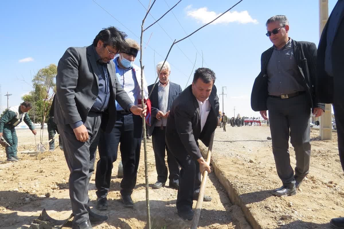 مسئولان ابرکوه، نهال کاشتند