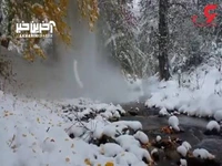 نماهنگ بی کلام از استاد مجید انتظامی با تصاویر زمستان زیبا 