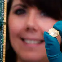 دانشمندان راهی برای تولید طلا از زباله‌های الکترونیکی پیدا کردند