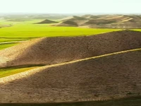 سرسبز شدن خالدنبی و ترکمن صحرا در گلستان