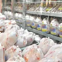 تامین نیاز بازار مرغ گرم در ماه رمضان و عید؛ قیمت بالاتر از ۸۰ هزار تومان تخلف است