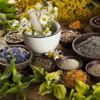 کاهش عوارض شیمی درمانی با گیاهان دارویی