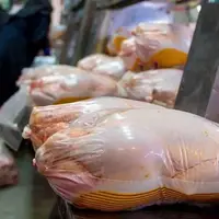 وضعیت امروز صبح بازار گوشت و مرغ میدان بهمن تهران