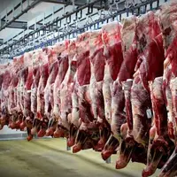 قیمت گوشت قرمز دولتی در بازار اعلام شد