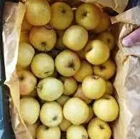 کاهش قیمت سیب درختی در طرح تنظیم بازار گلستان