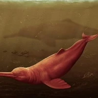 فسیل‌ بزرگ‌ترین دلفین جهان در آمازون کشف شد