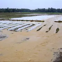 سیل در نخستین روز سال ۲۳ میلیارد ریال به مزارع میامی خسارت زد