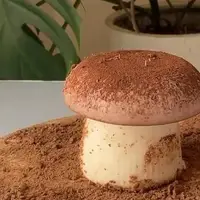 طرز تهیه دسر قارچی برای جشن و مهمونی ها