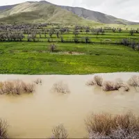 ثبت بارش ۴۳ میلی‌متری در سردشت