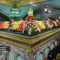 گل آرایی زیبای ضریح مطهر امام رضا (ع) به مناسبت میلاد کریم اهل بیت