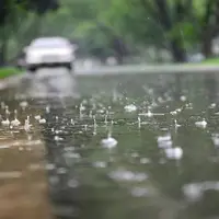 ثبت ۳۵ میلیمتر بارش در پارک ملی گلستان
