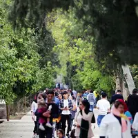 اقامت مسافران نوروزی در مازندران از ۹ میلیون نفر گذشت