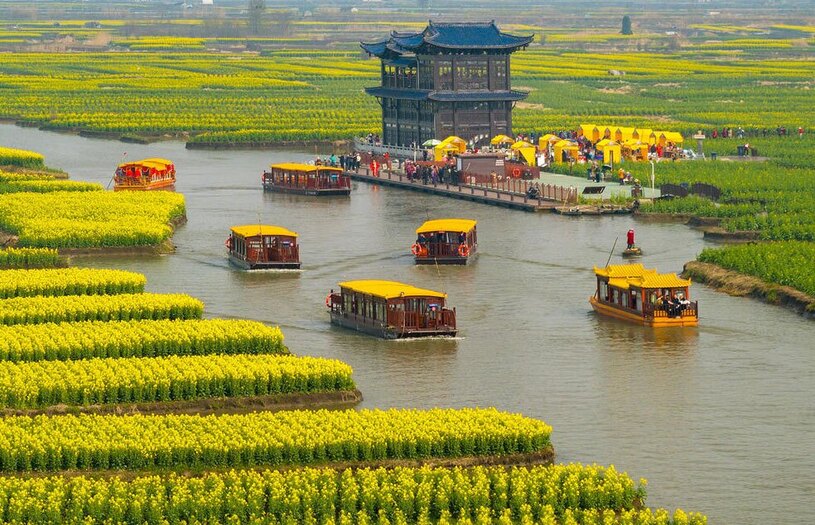 حرکت قایق هایی مملو از گردشگران برای تماشای مزارع کلزا در جیانگسو چین