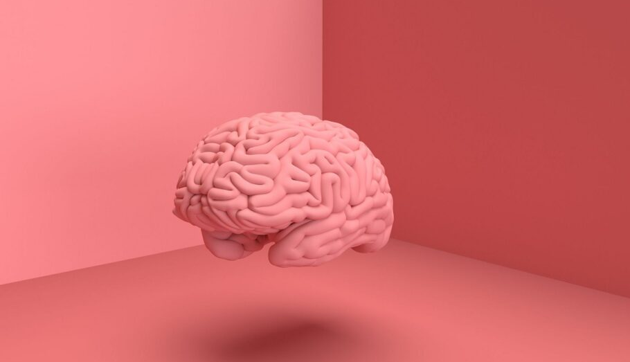 پژوهشی جدید؛ مغز انسان درحال بزرگ‌ترشدن است