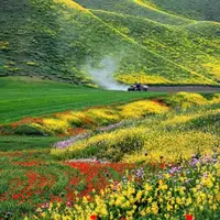 ترکمن صحرای دیدنی در بهاران غرق در گل و زیبایی
