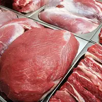 استمرار توزیع گوشت گرم گوسفندی با نرخ یارانه‌ای در کرج 