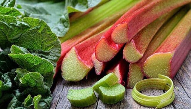 «ریواس» سبزی فصل بهار را فراموش نکنید