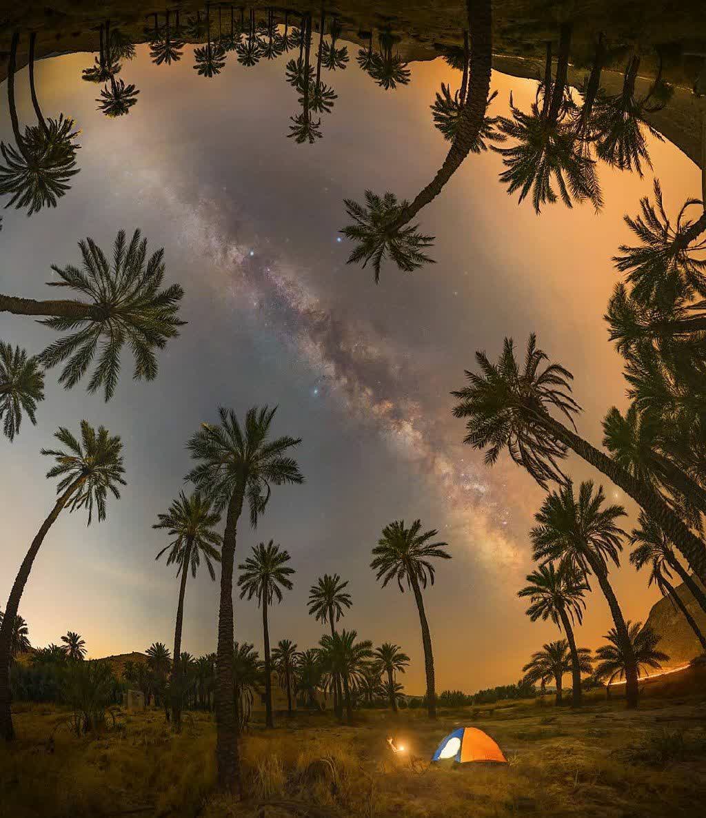 یک قاب دیدنی از نخل‌ها و کهکشان راه شیری در شیراز زیبا 