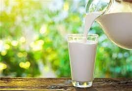 آیا لبنیات در دوران بلوغ باعث افزایش قد می‌شود؟