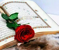 صوت/ ترتیل «جزء بیست و چهارم» قران مجید با صدای استاد منشاوی