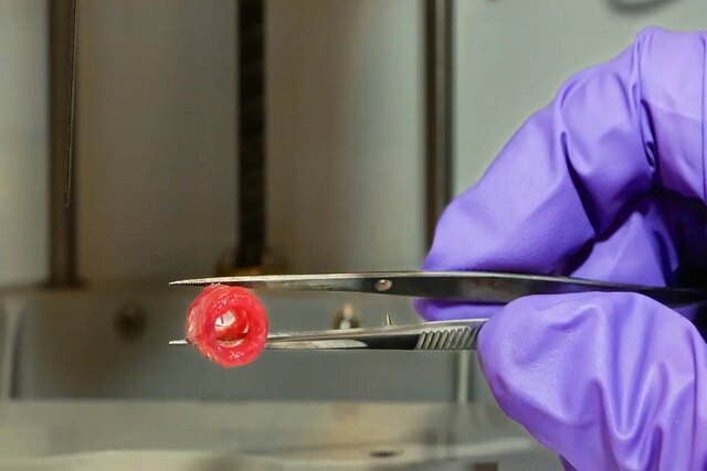 چاپ زیستی رگ‌های خونی برای کمک به سلامت فضانوردان