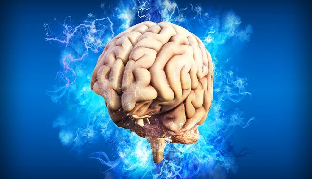 کشف راز ابتلا به آلزایمر، پارکینسون و سکته مغزی