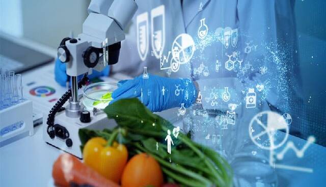 تولید نانو پوشش‌های زیستی برای افزایش ماندگاری محصولات غذایی
