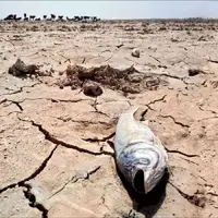 کاهش آمار بارندگی در 15 استان؛ و هم‌چنان خشکسالی و کم‌آبی...