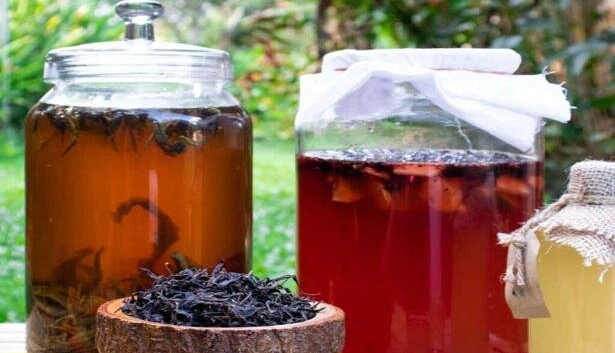 نوشیدن چای کامبوچا می تواند به کاهش چربی کمک کند