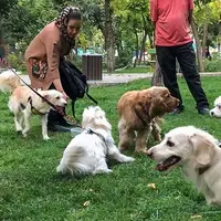 ممنوعیت ورود سگ‌ به بوستان‌های تهران